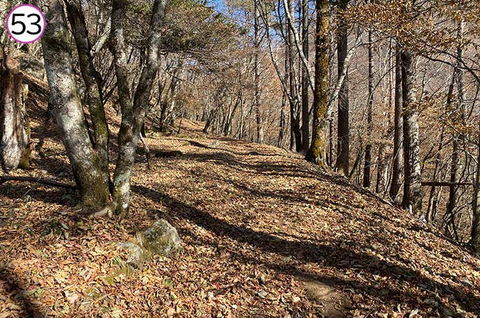 53.丸川峠手前の登山道