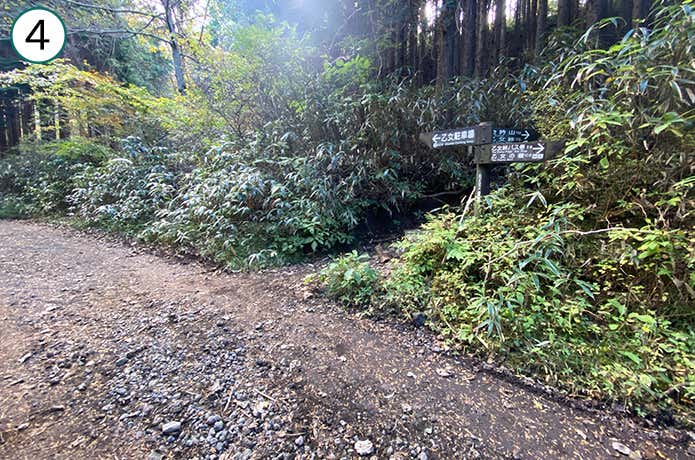 乙女峠 登山道への入り口