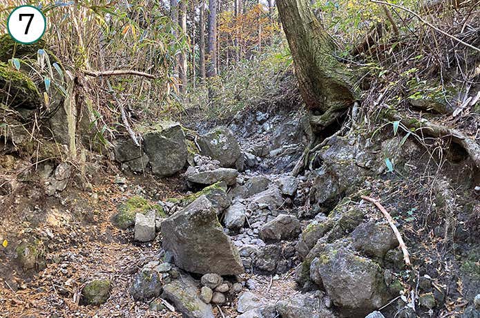 乙女峠への登山道