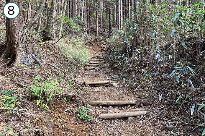 乙女峠への登山道