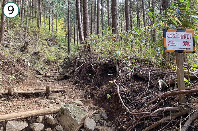乙女峠への登山道