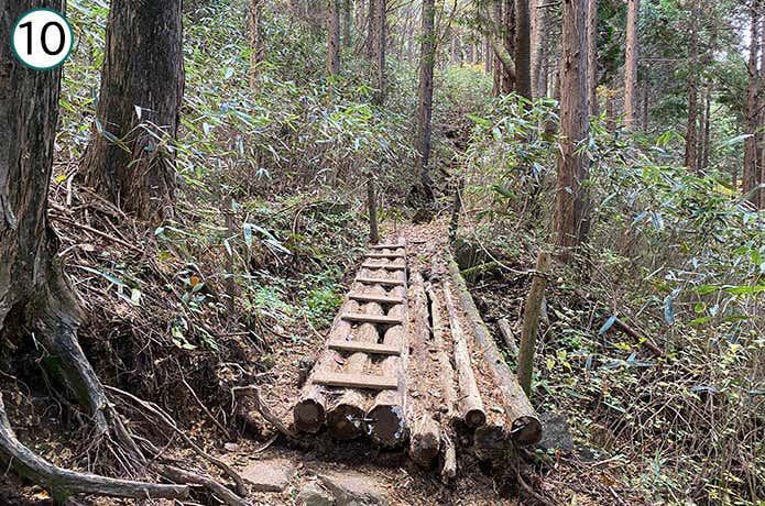 乙女峠への登山道 橋