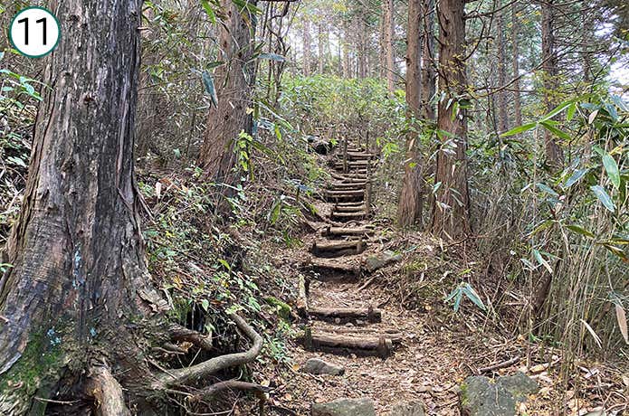乙女峠への登山道 階段