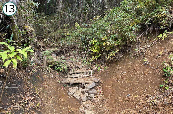 乙女峠への登山道