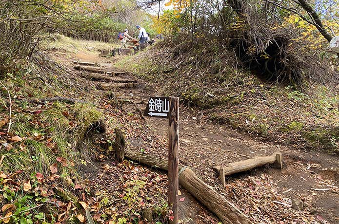 乙女峠　金時山への道