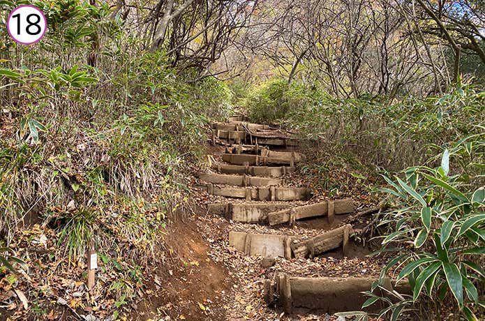 乙女峠から長尾山 登山道