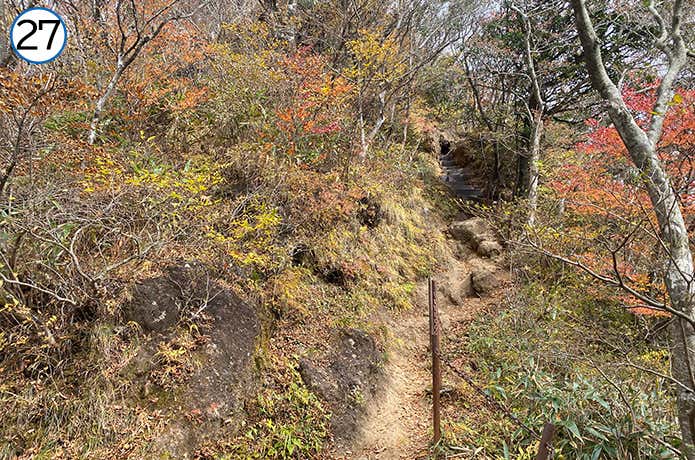 長尾山から金時山への登山道 登り