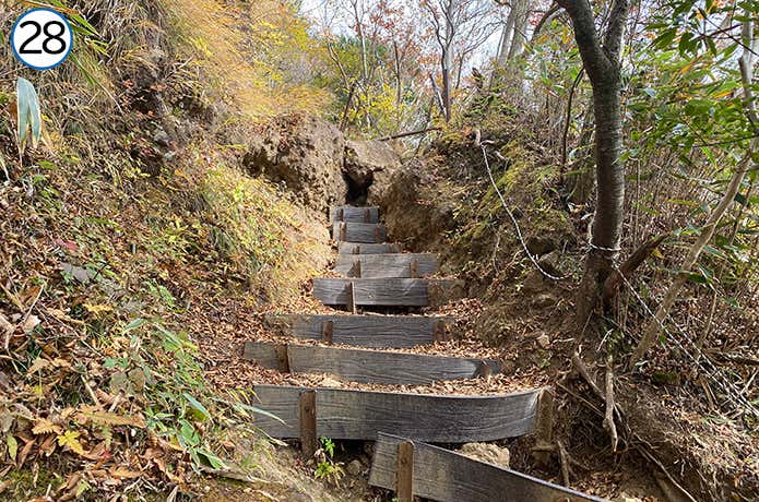 長尾山から金時山への登山道 階段