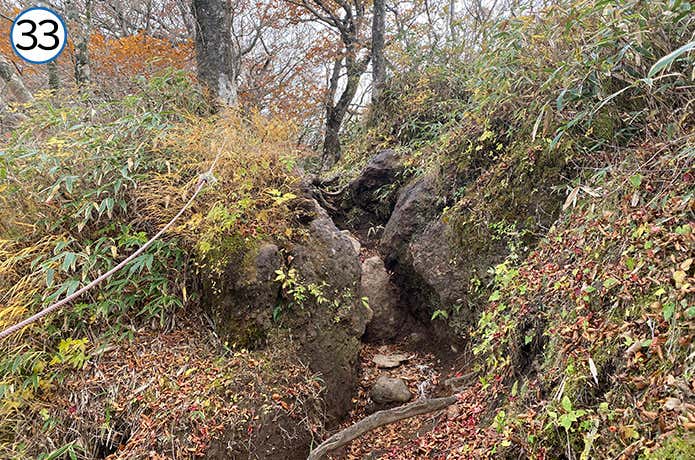 長尾山から金時山への登山道 岩場