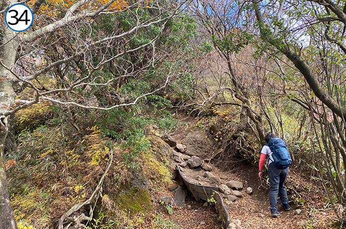 長尾山から金時山への登山道