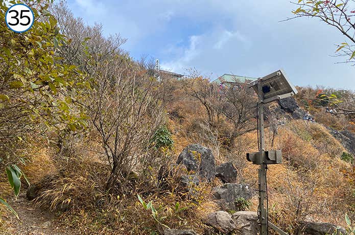 長尾山から金時山への登山道 山頂付近