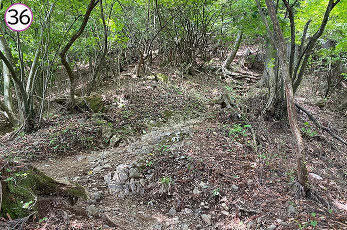 ㊱再び勾配が上がる登山道