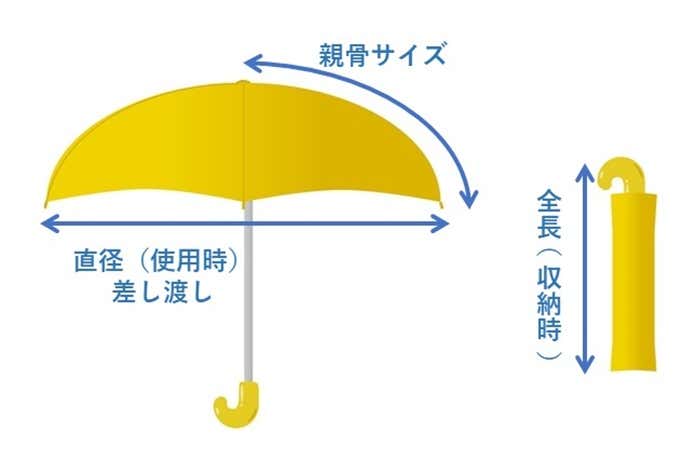 折り畳み傘の親骨、直径、収納時全長を表したイラスト