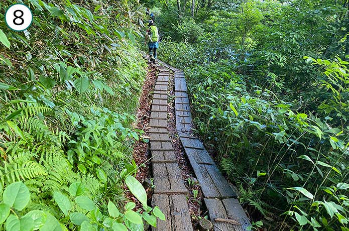 ⑧木道の登山道