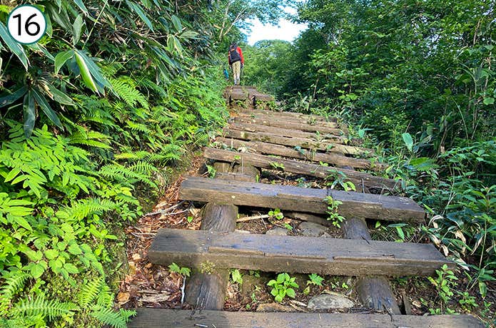 ⑯階段状の木道