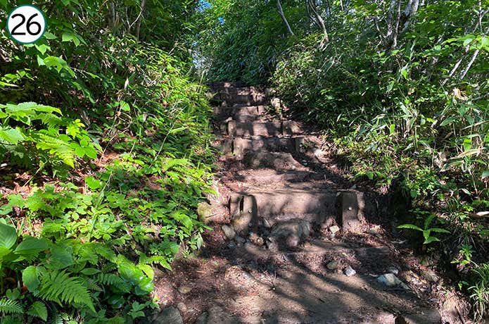 ㉖階段状の段差がある登山道
