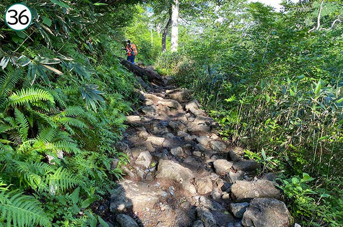 ㊱ゴツゴツとした登山道