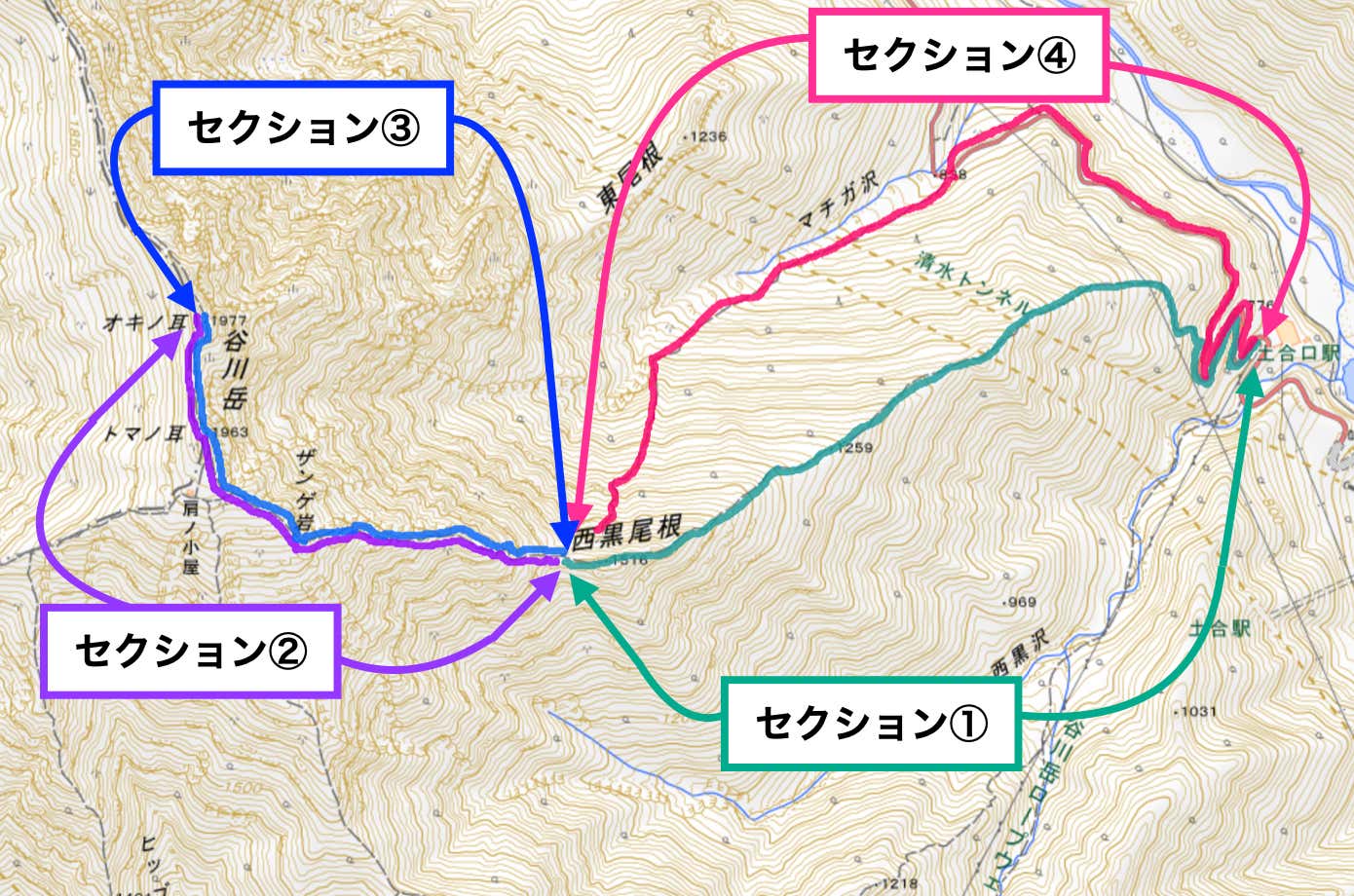 今回のコース