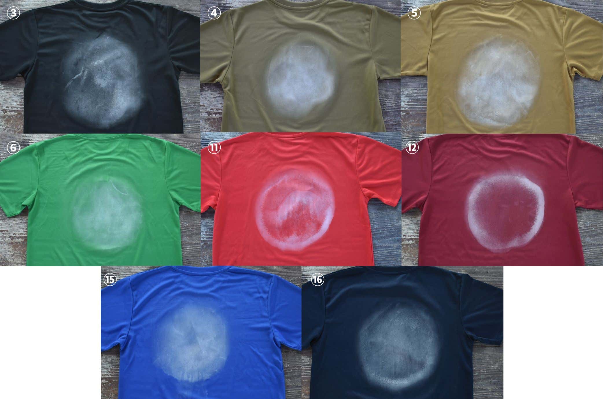 塩_目立つTシャツカラー一覧