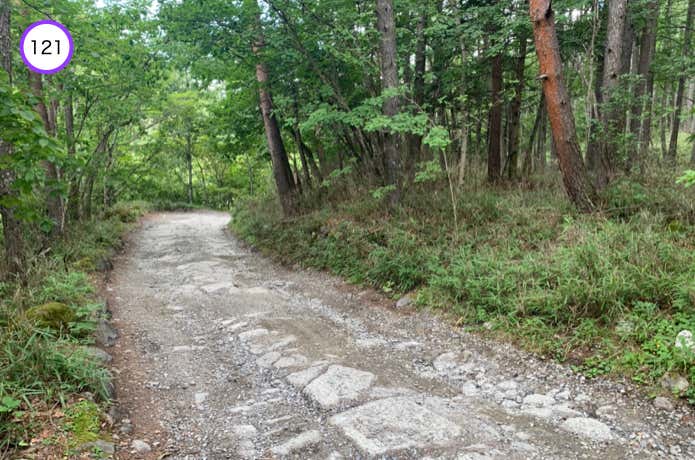 荒れた路面