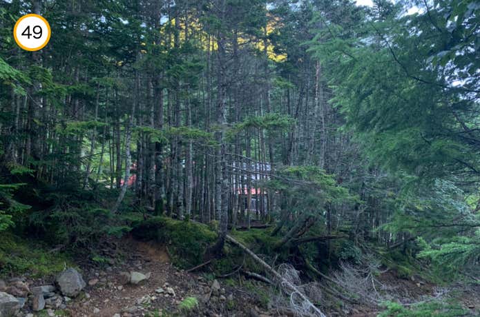 行者小屋手前の沢