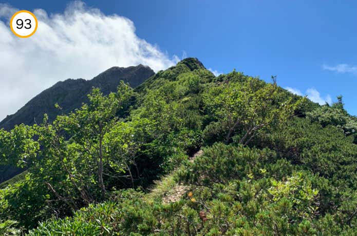 中岳への登り返し