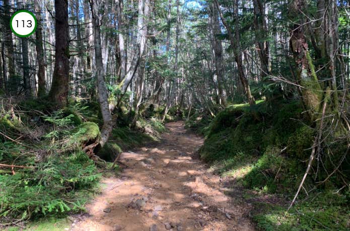 苔むした岩の間を進む