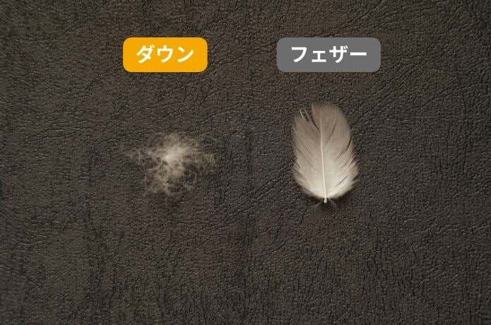 ダウン・フェザー比較画像