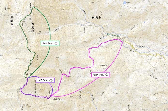 今回のコース
