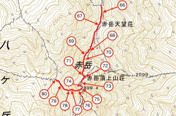 セクション⑤