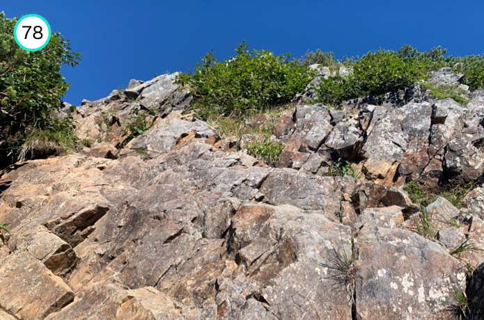 中岳の山頂直下