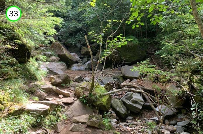 涸れた沢を渡る