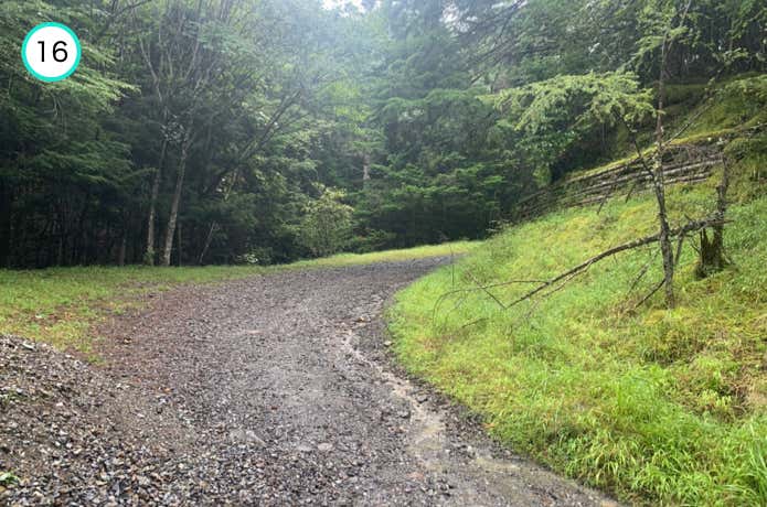 林道を登る