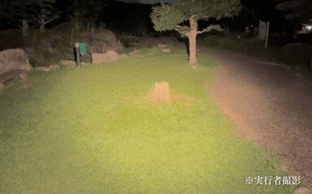 ニュートラルホワイト