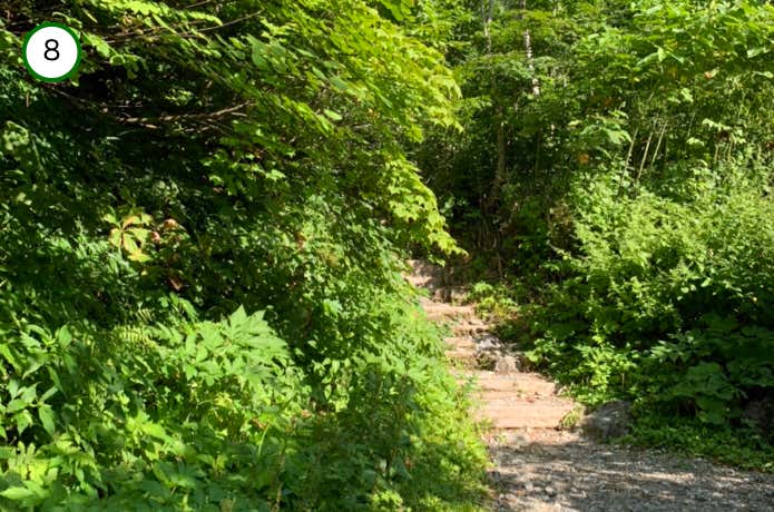 登山道へ