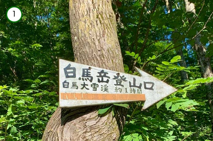 登山口