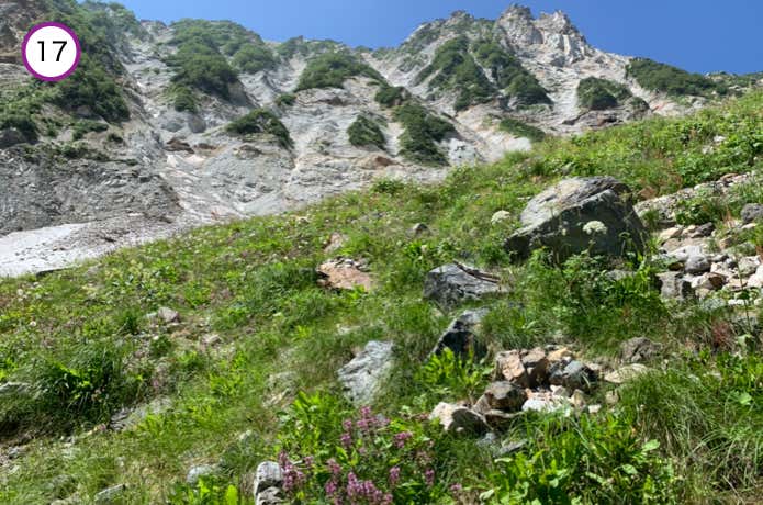 左岸に移る