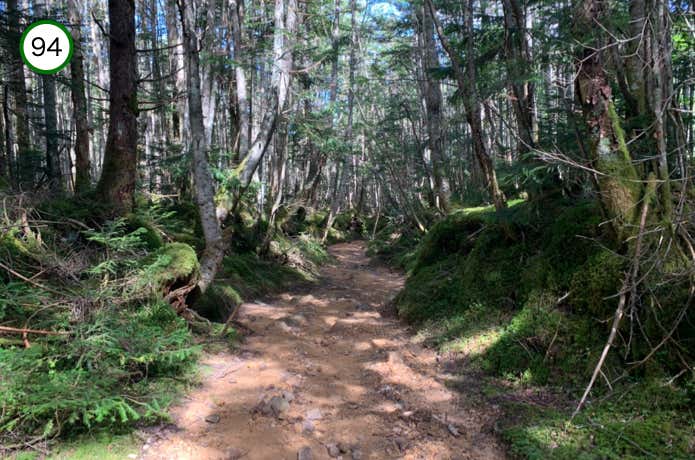 苔むした岩の間を進む