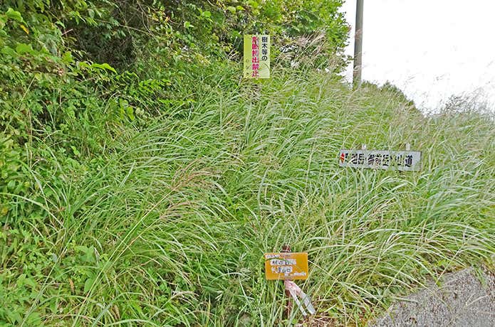 登山口