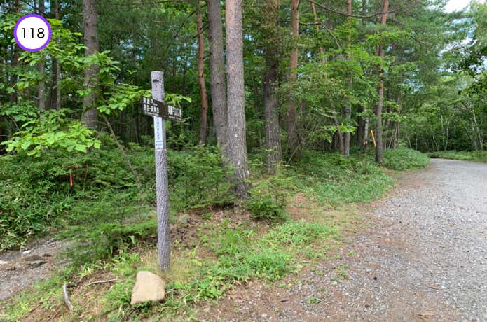 枝道との分岐