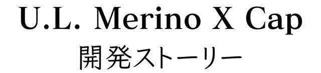 開発ストーリー