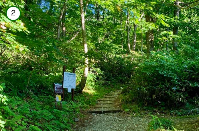 森の中の登山道