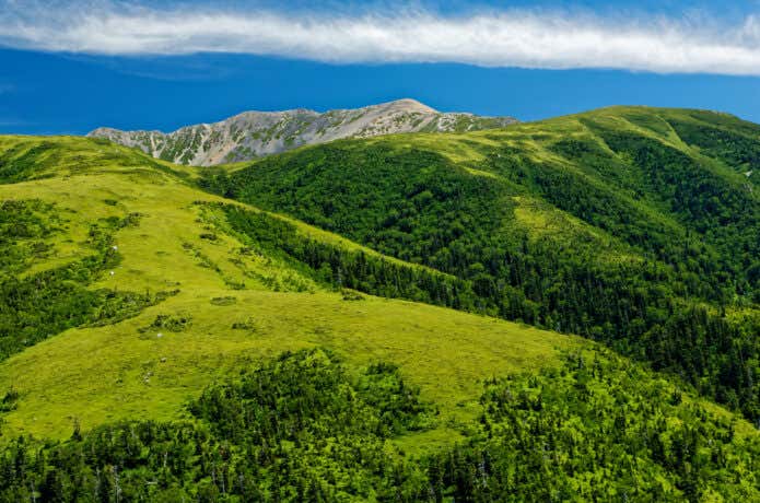 折立登山口から薬師岳への登山道