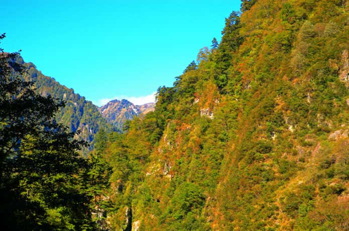 不帰岳避難小屋から名剣沢への登山道