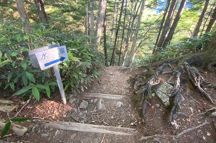 水場への道