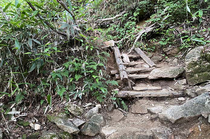 合戦尾根　登山道
