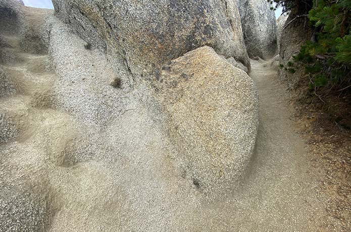 分岐