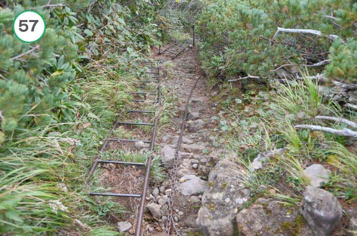 県界尾根　はしご