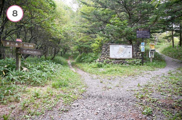 真教寺尾根　分岐