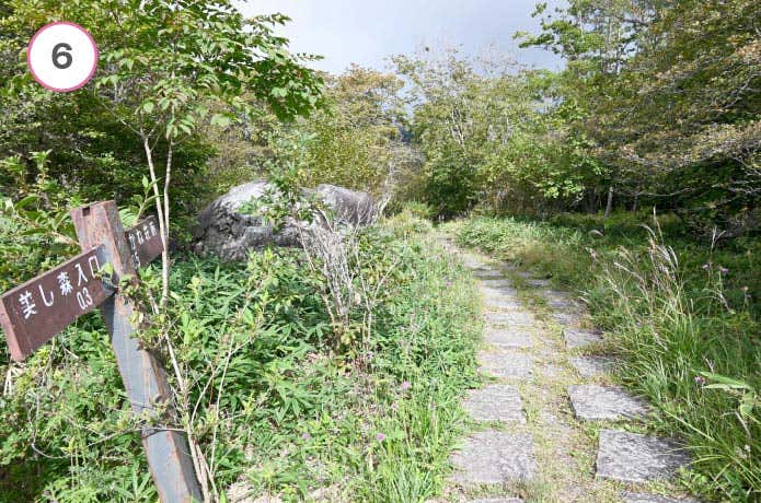 真教寺尾根　美し森展望台から先